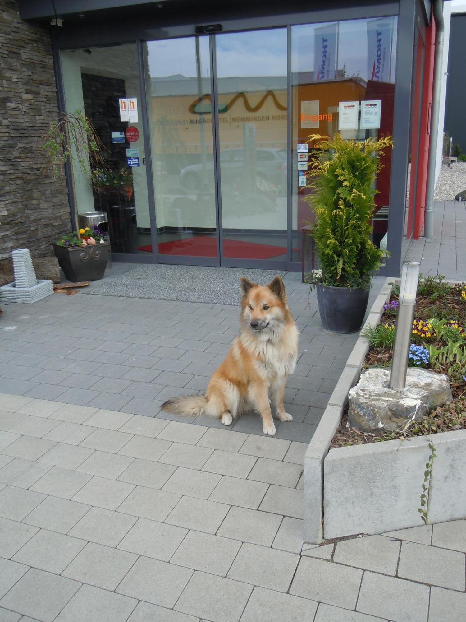 Allgaeuhotel Memmingen Nord ภายนอก รูปภาพ